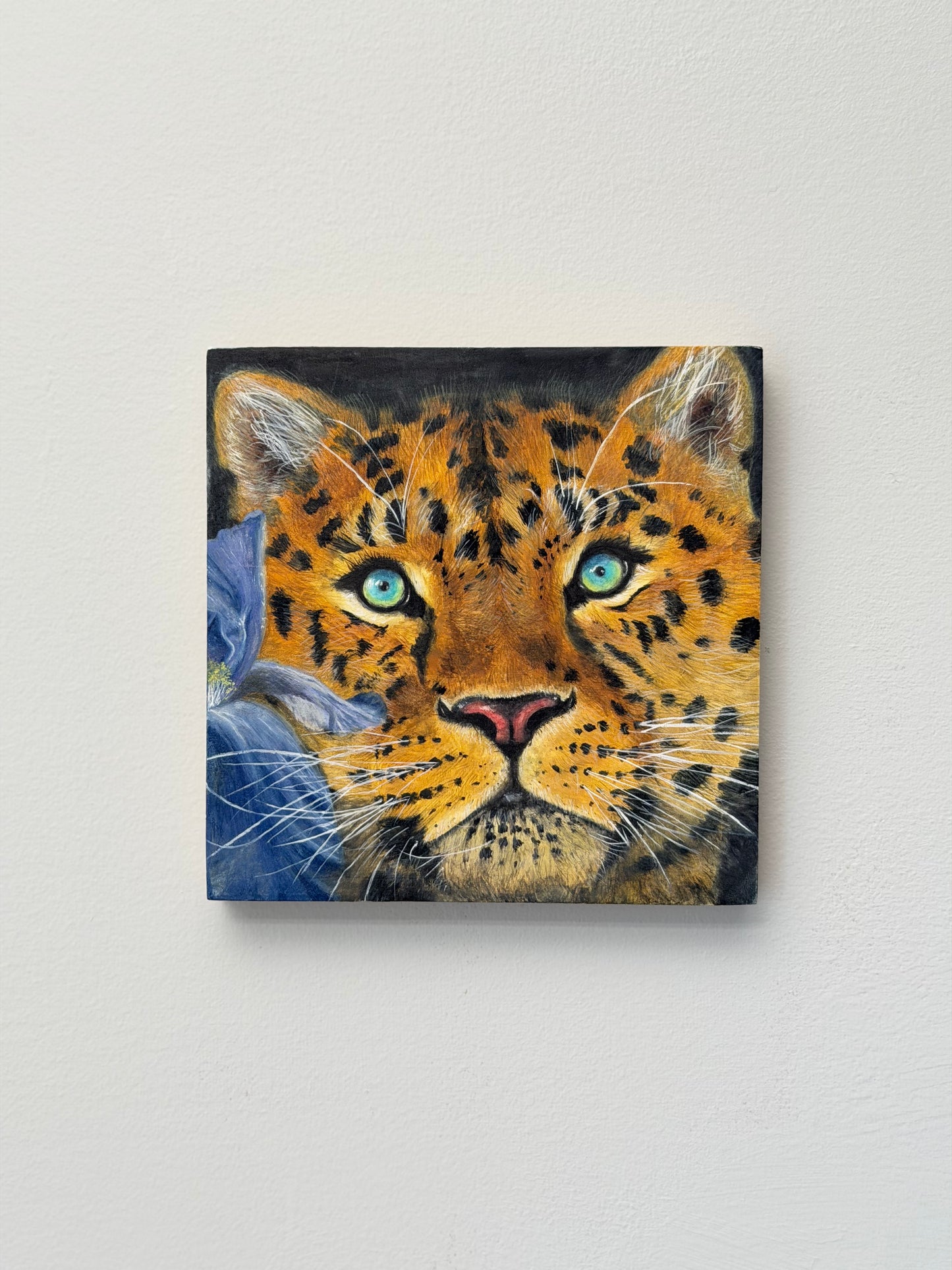 Original watercolor painting of a leopard with vivid blue eyes on a wood panel by Sophia Tong.