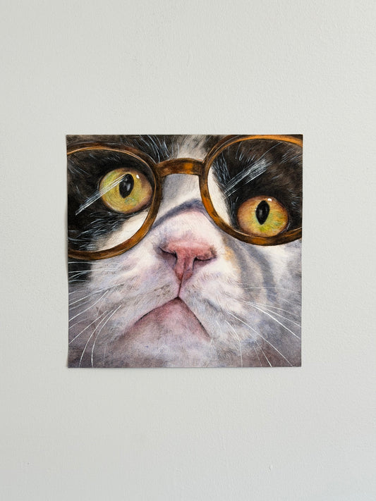 Dr. Meow