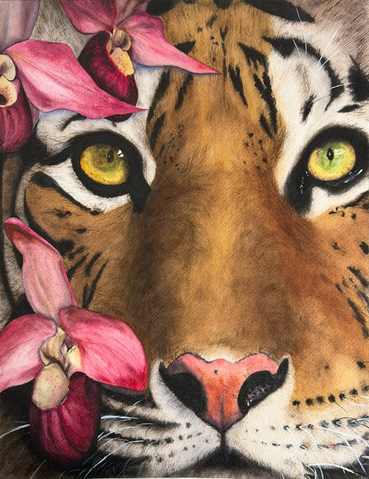 Quiet Dominion original tiger watercolor painting by Sophia Tong
